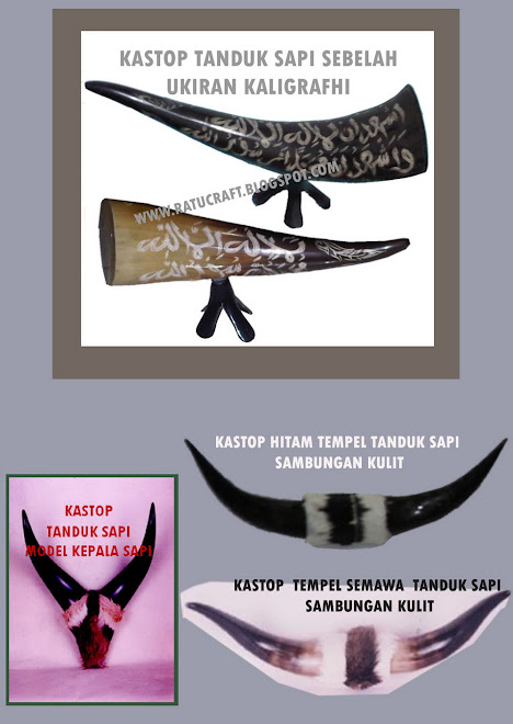 KASTOP SAPI