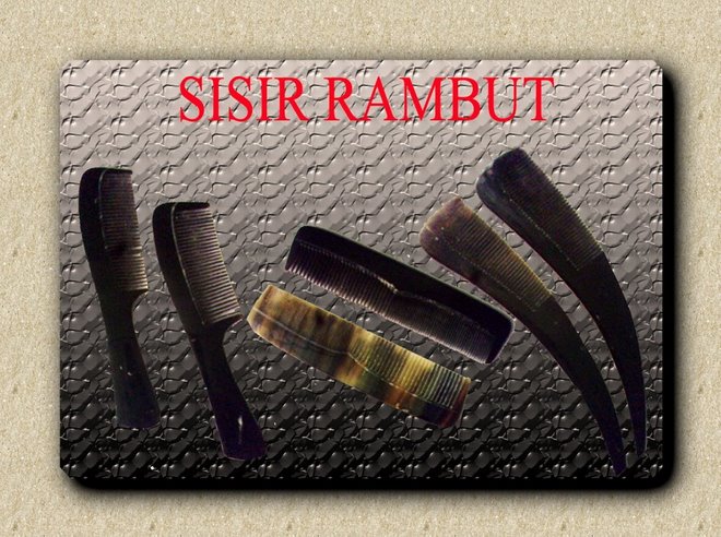 sisir