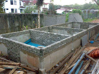 TERNAKAN KELI: Pembikinan Kolam Keli