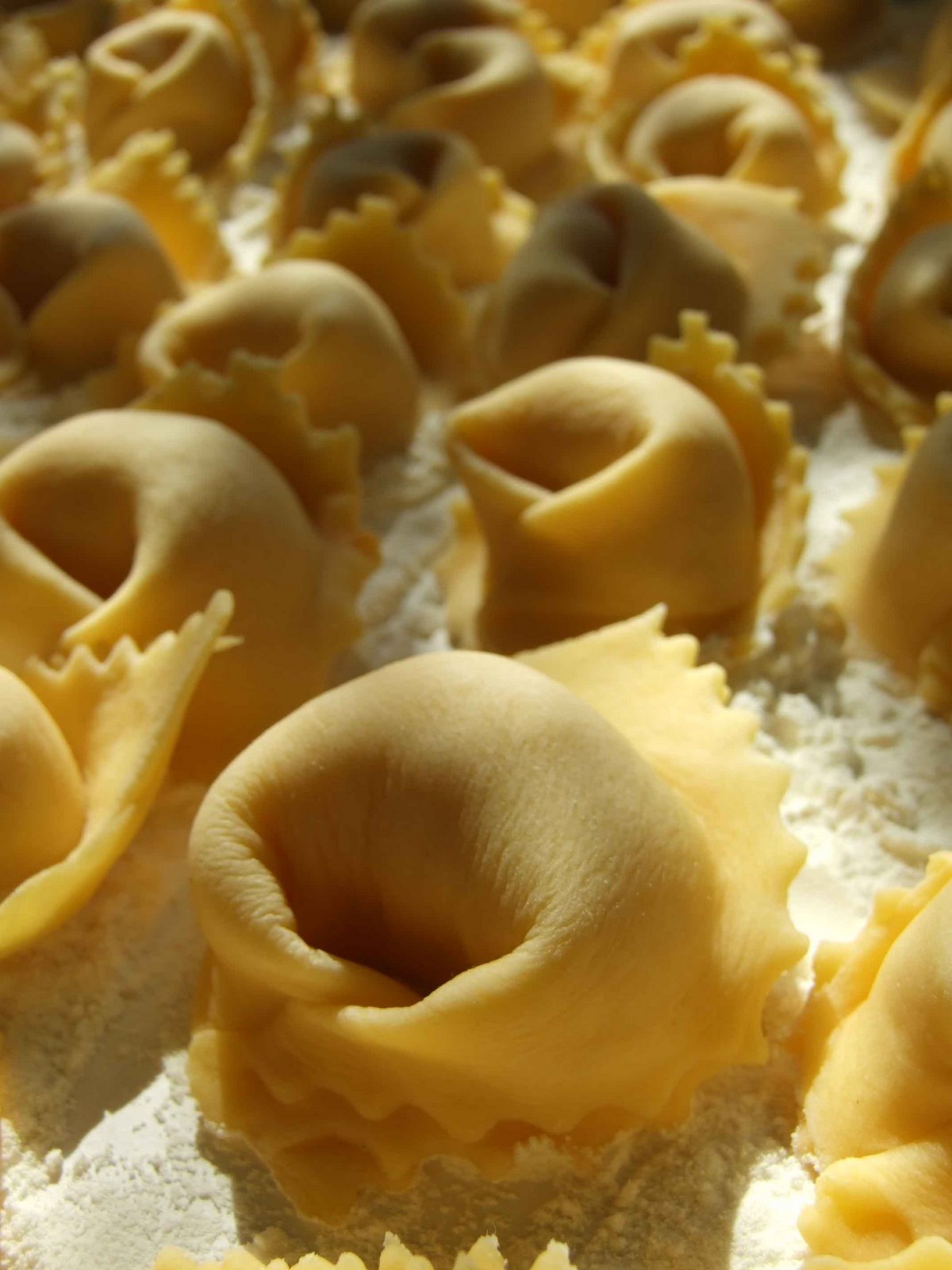[cappellacci.JPG]