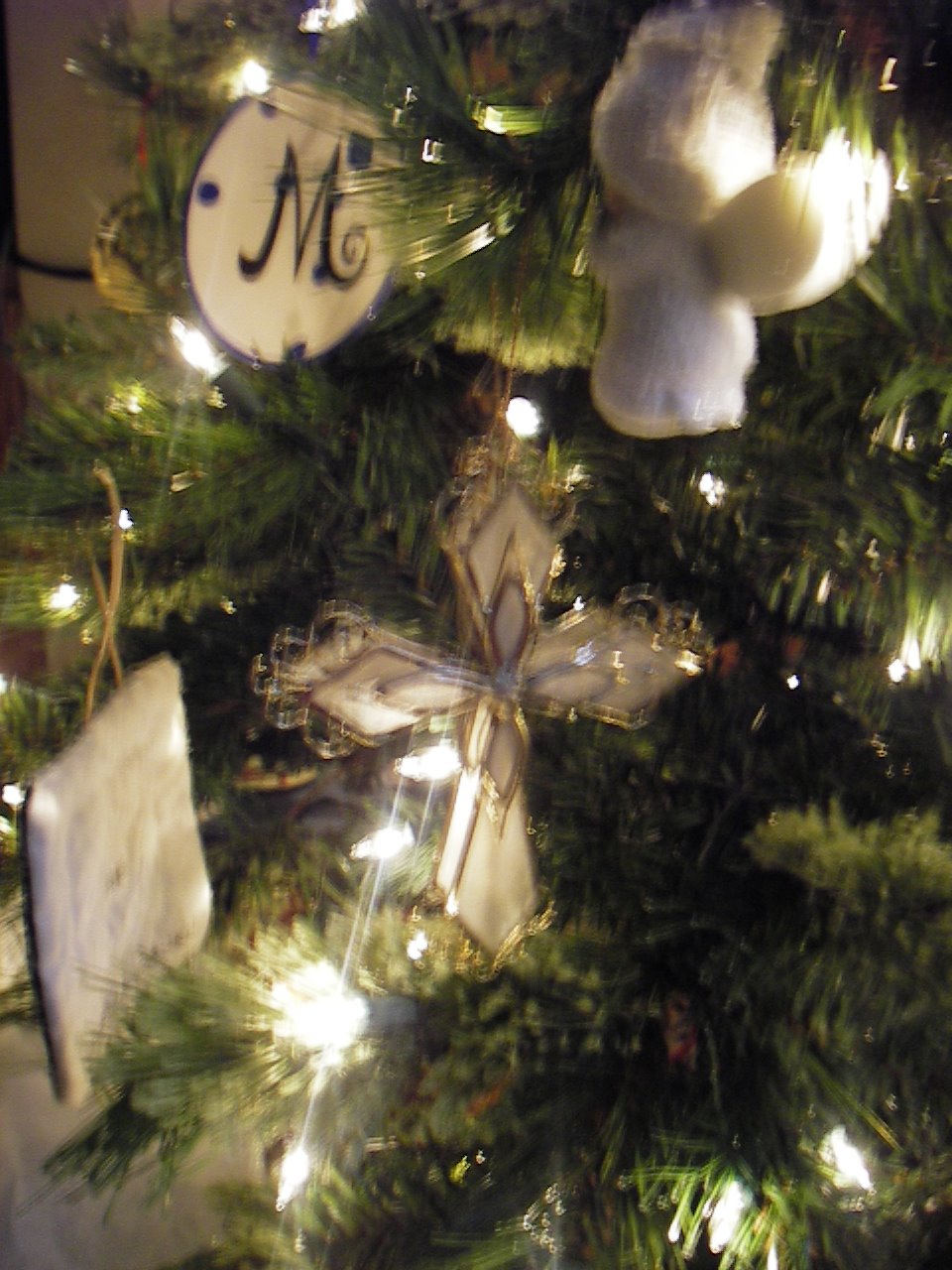 [FavoriteOrnaments.jpg]