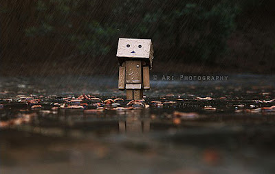 tierno danbo