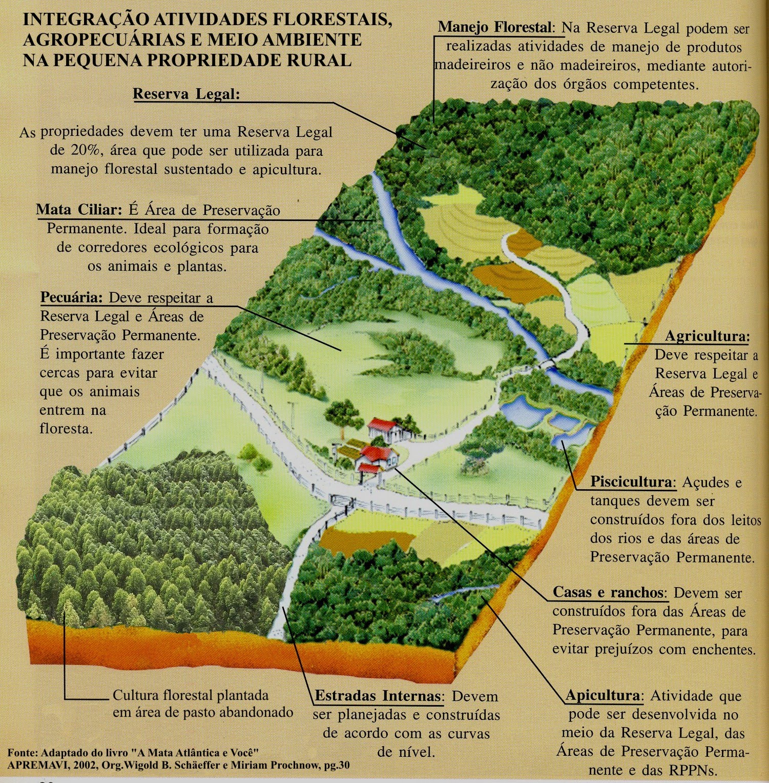 Meio Ambiente e desenvolvimento sustentável Importância