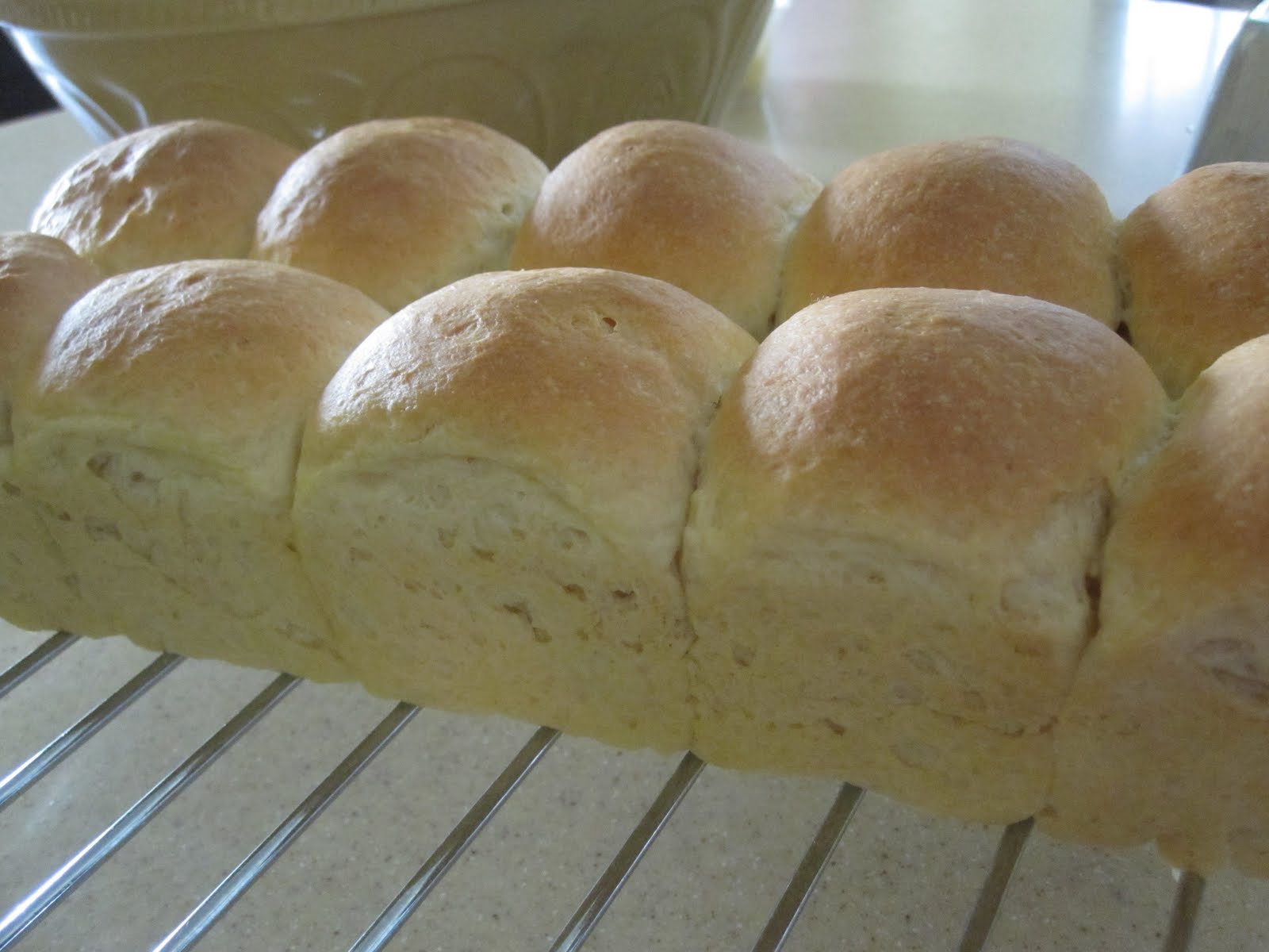 Dari Lensa Seorang Makcik Roti Naik