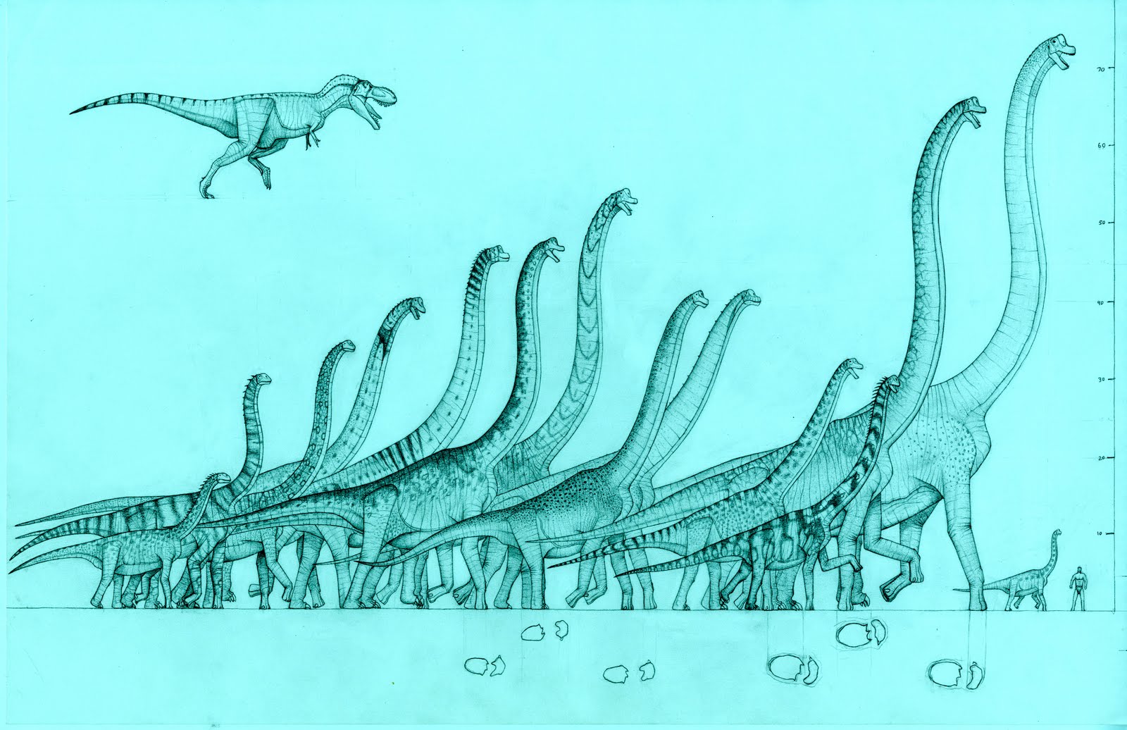 Титанозавр Брум
