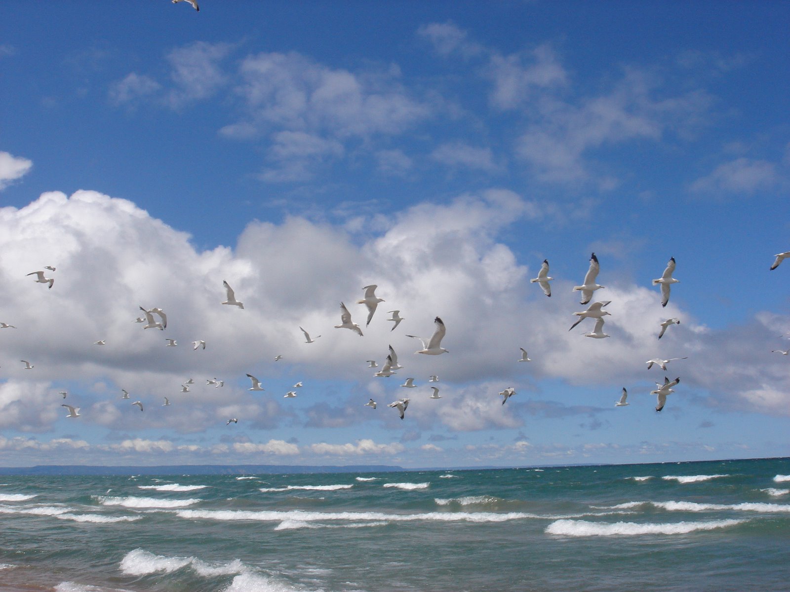 [2009+July+beach+035.jpg]