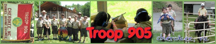 Troop 905