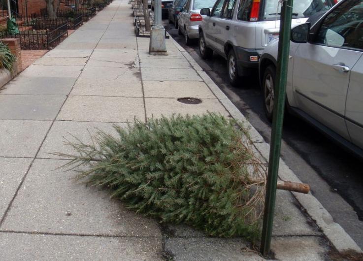 Councilman Bill Henry's 4th District Blog January 2011