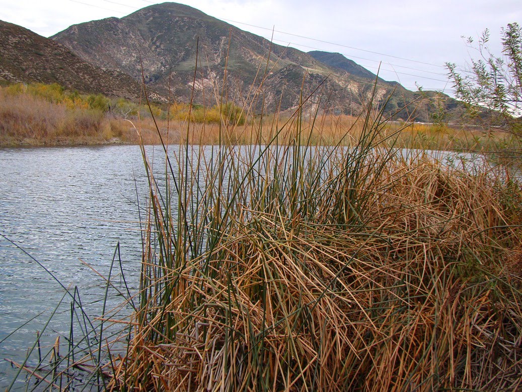 Geotripper Finding Faults and Bottomless Lakes in Southern California