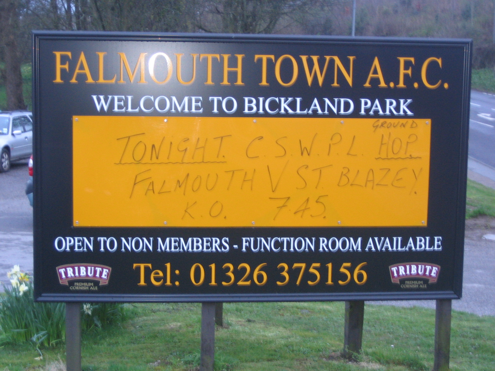 Football grounds visited by richard bysouth falmouth town fc