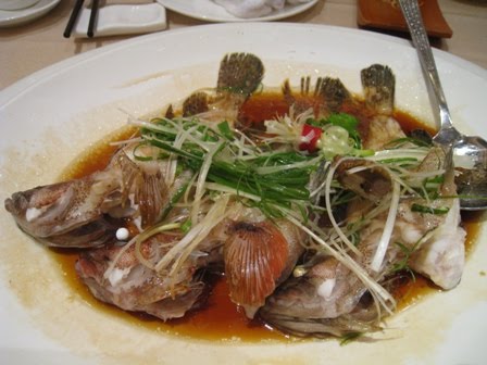 [IMG_5663.JPG]