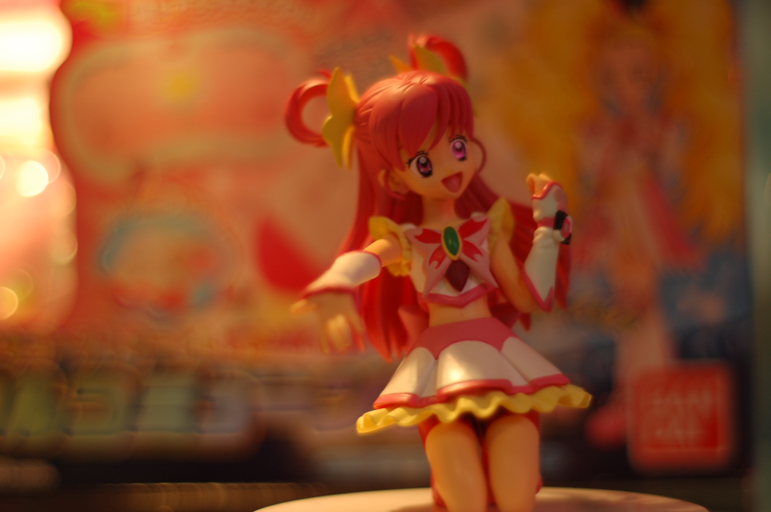 [DSC_0100.JPG]