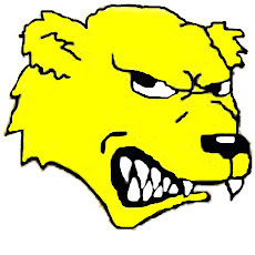 Virden Golden Bears