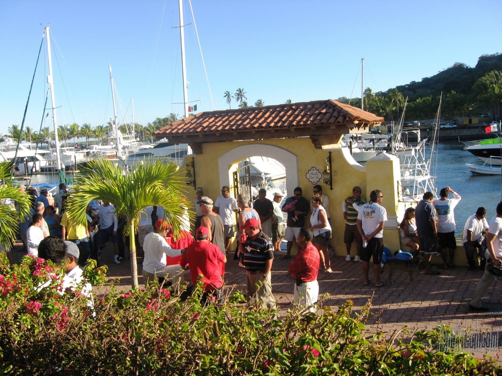 Living Barra de Navidad XXXVI International Fishing Tournament Sail