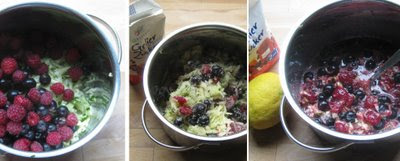 Zubereitung Josta-Zucchini-Himbeer-Konfitüre
