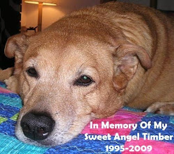 My Angel Timber Blog