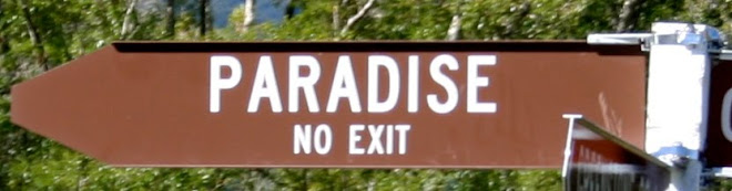Paradise No Exit