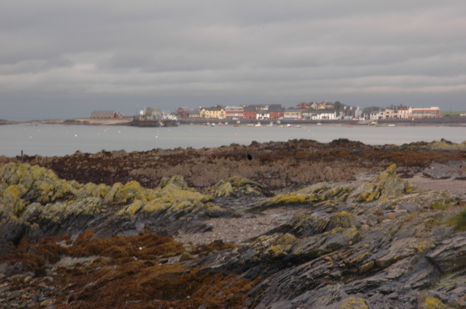 [DSC_5511.JPG]