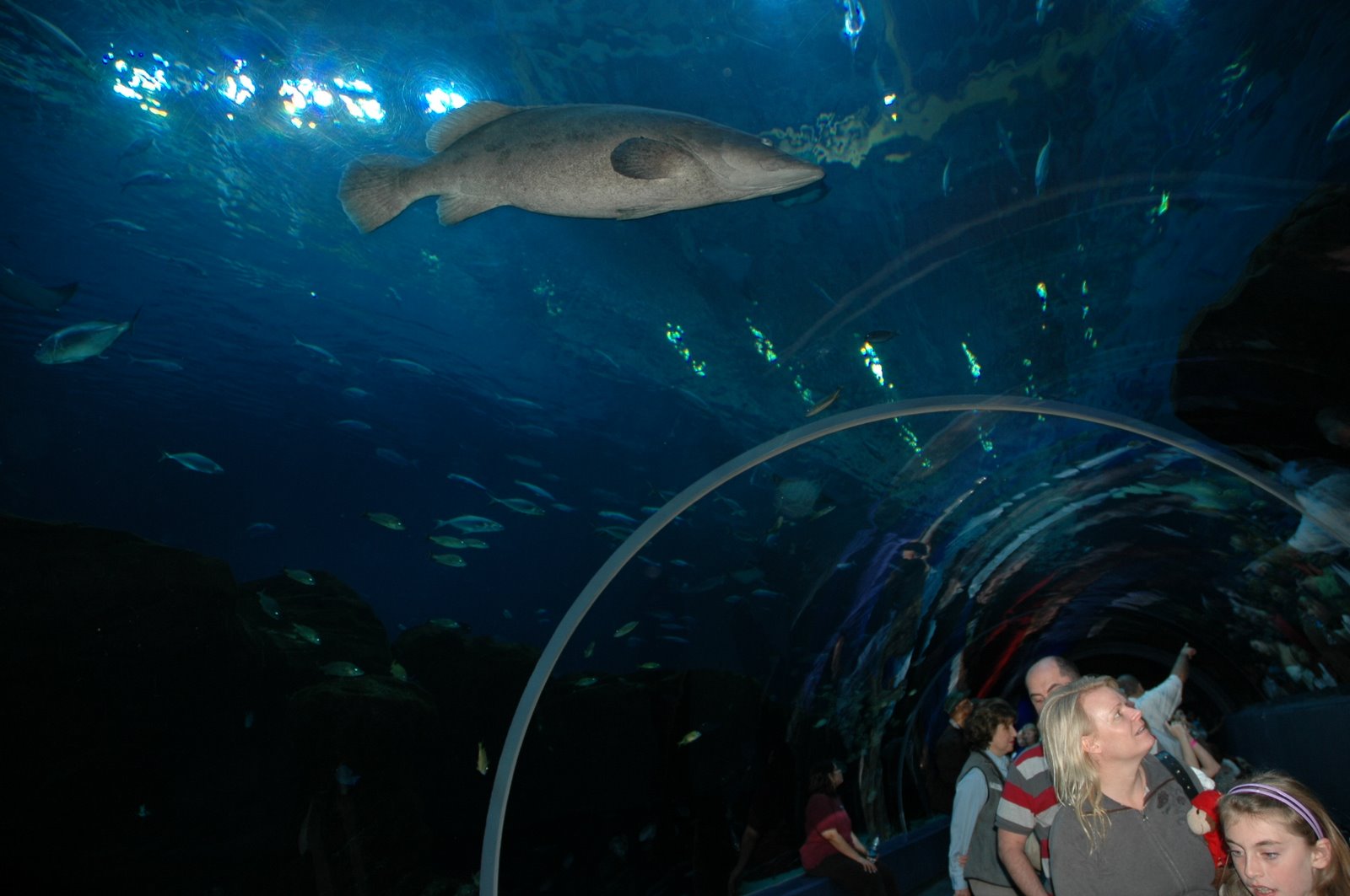 [aquarium.JPG]
