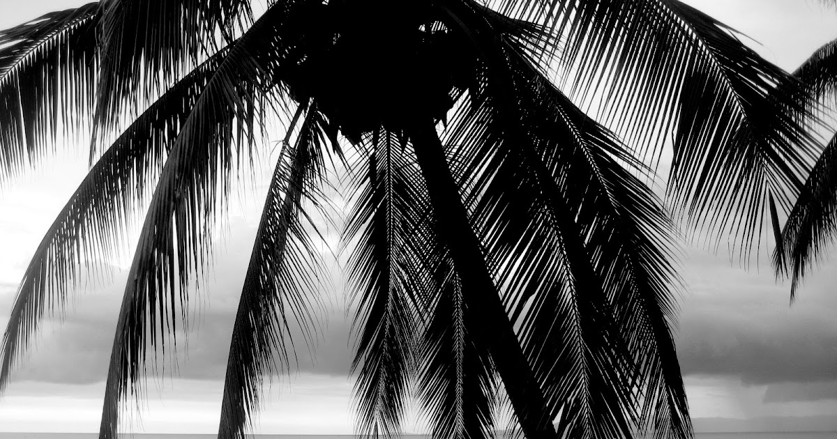 forever88: beach please. {black & white wednesday}