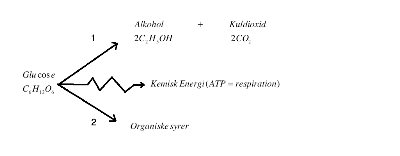 Velkommen til gruppe 4's bio-blog!: Energi