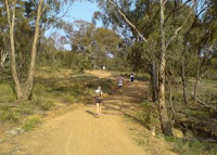 I often walk on this hill to smell the eucalyptus leaves