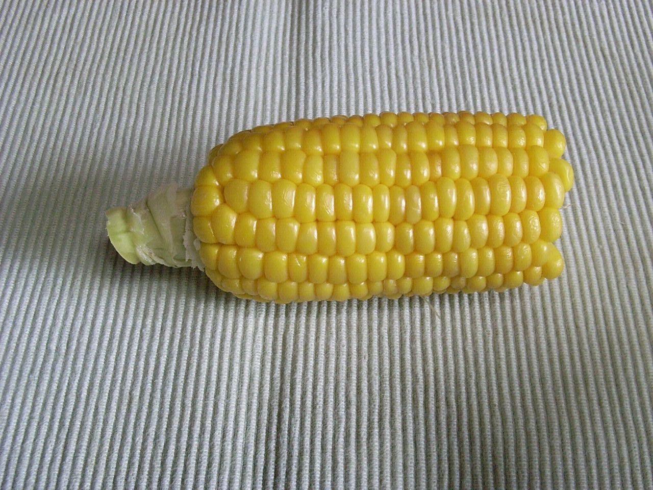 [Corn.JPG]