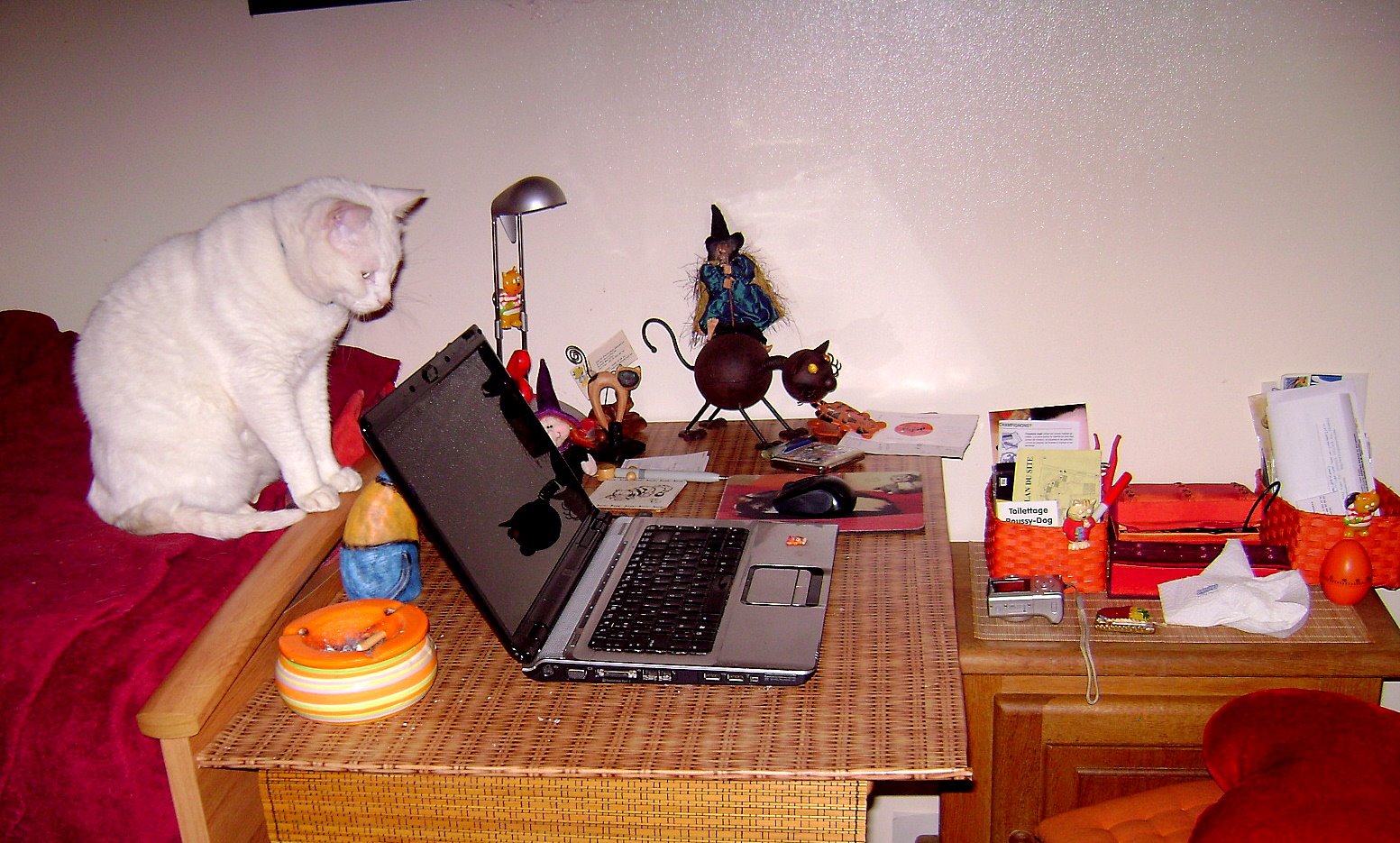 [File+205+047-2.jpg]