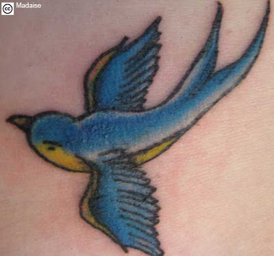 Bird Tattoo Design Bluebird Tattoos - The bluebird -- like the swallow with 