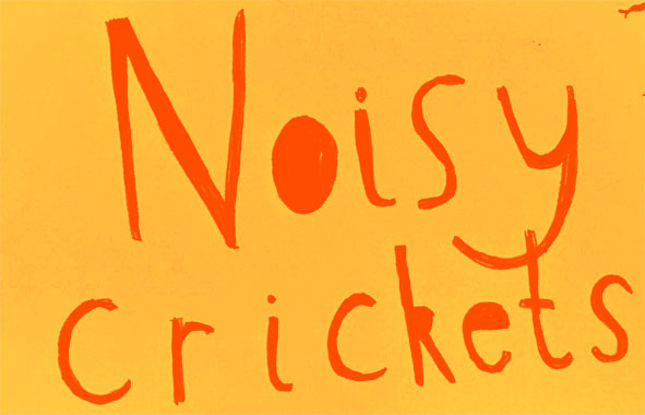 The Noisy Crickets Collective