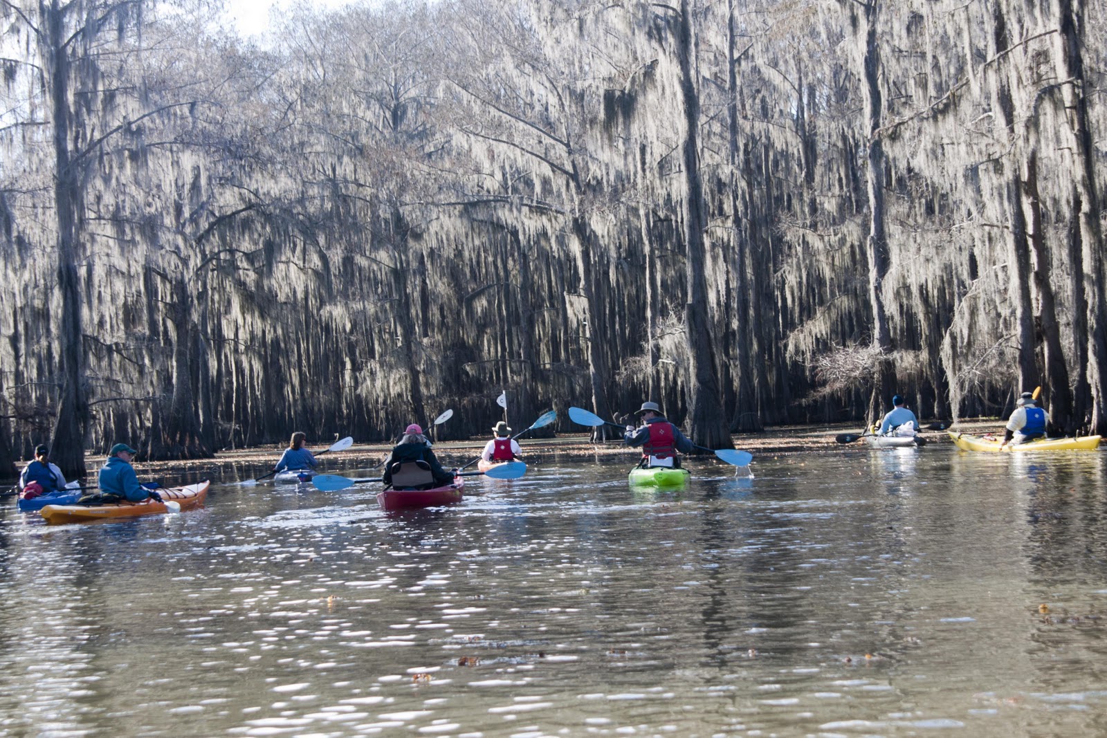 Exploring Caddo Lake in January