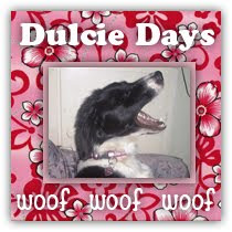 My Dulcie Doggy Blog