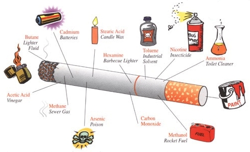 [cigarette+flavors.jpg]
