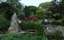Jardin Japonés 2008