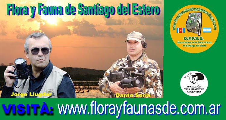 www.florayfaunadesantiagodelestero.blogspot.com