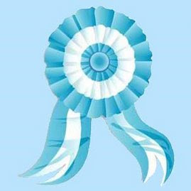 ARGENTINA: qué es la escarapela? por qué se usa? cúando?cúal?