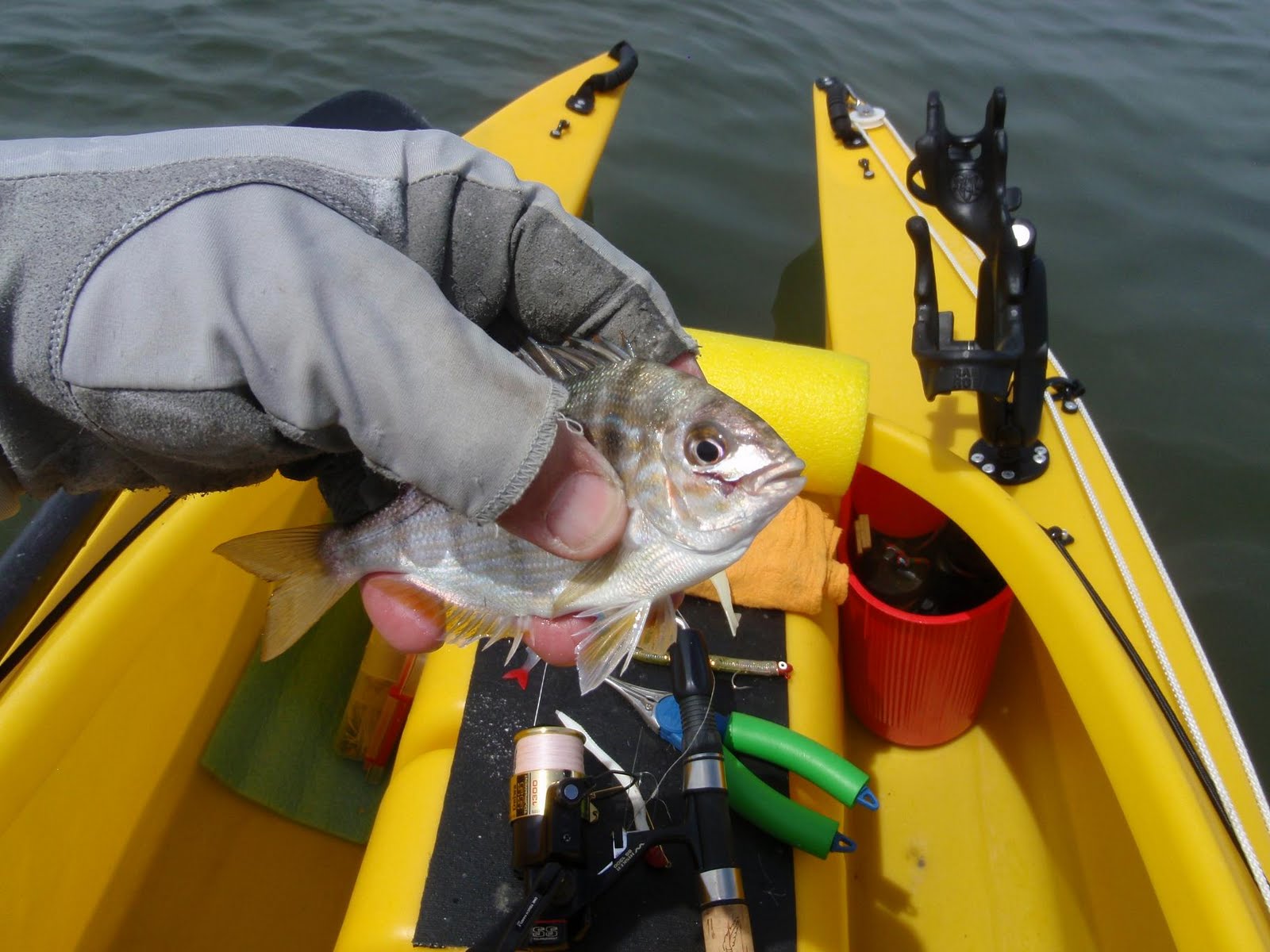 Jeff's Tackle Box Kayak fishing bait thieves