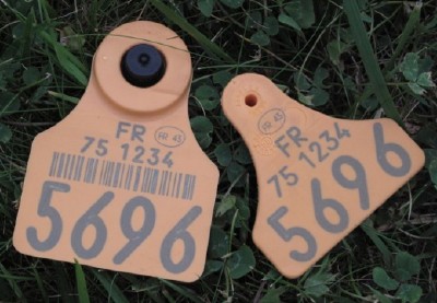 Lot 50 Boucles Oreilles Identification Bovins Numérotées Cuivre Bleu - Étiquettes Bétail Durables Anti-Perte