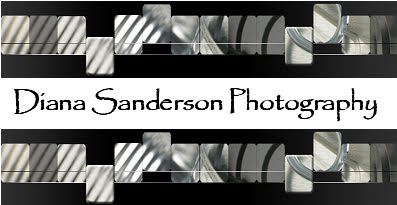 Diana Sanderson Photography