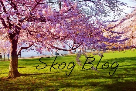 Skog Blog