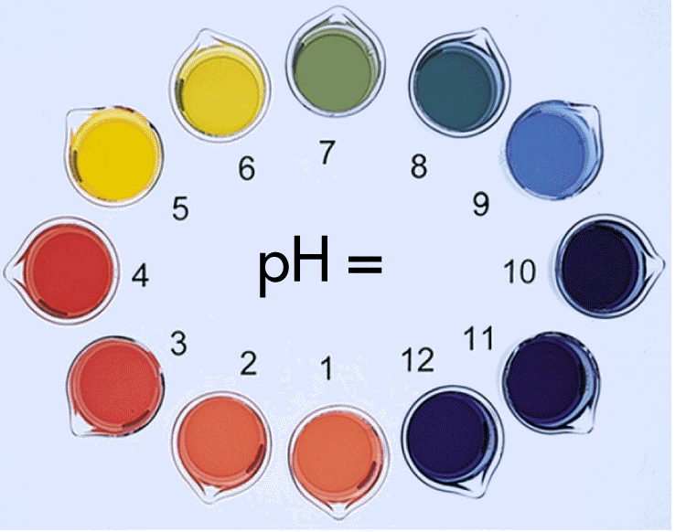 acid base titration ph scale chart colours