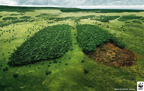 [wwf_ad_025.jpg]