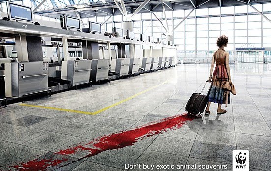 [wwf_ad_024.jpg]