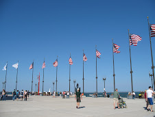 Navy Pier Flags
