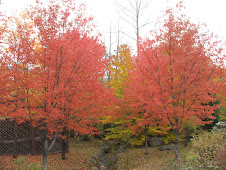 Two red trees