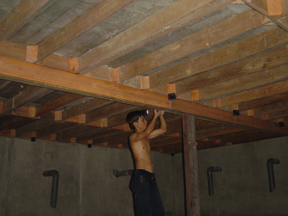 Techno Walet: Rumah Walet Sungai Burung