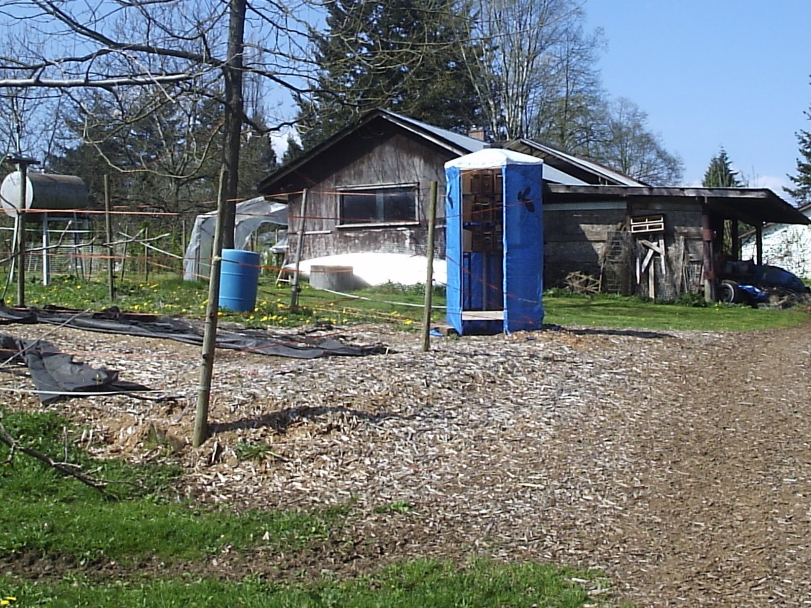 Yurt 2010 Cherry and Apple Blossoms