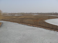 Milu Park wetlands, partly frozen over