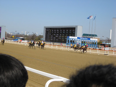 action shot at Seoul Race Park