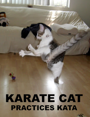 Karate%2BCat.jpg